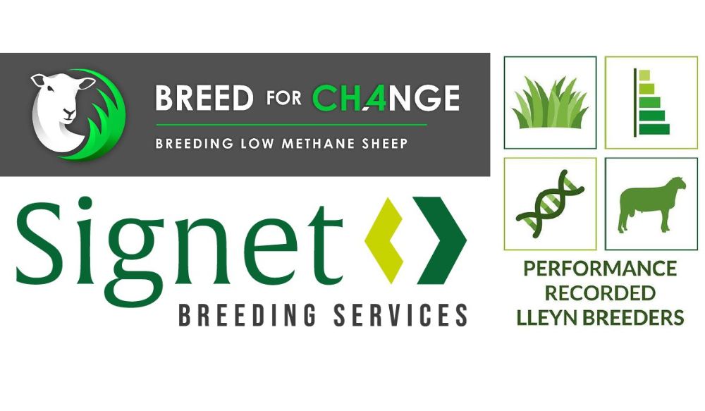 Logos of Breed for CH4nge, Signet and Performance Recorded Lleyn Breeders